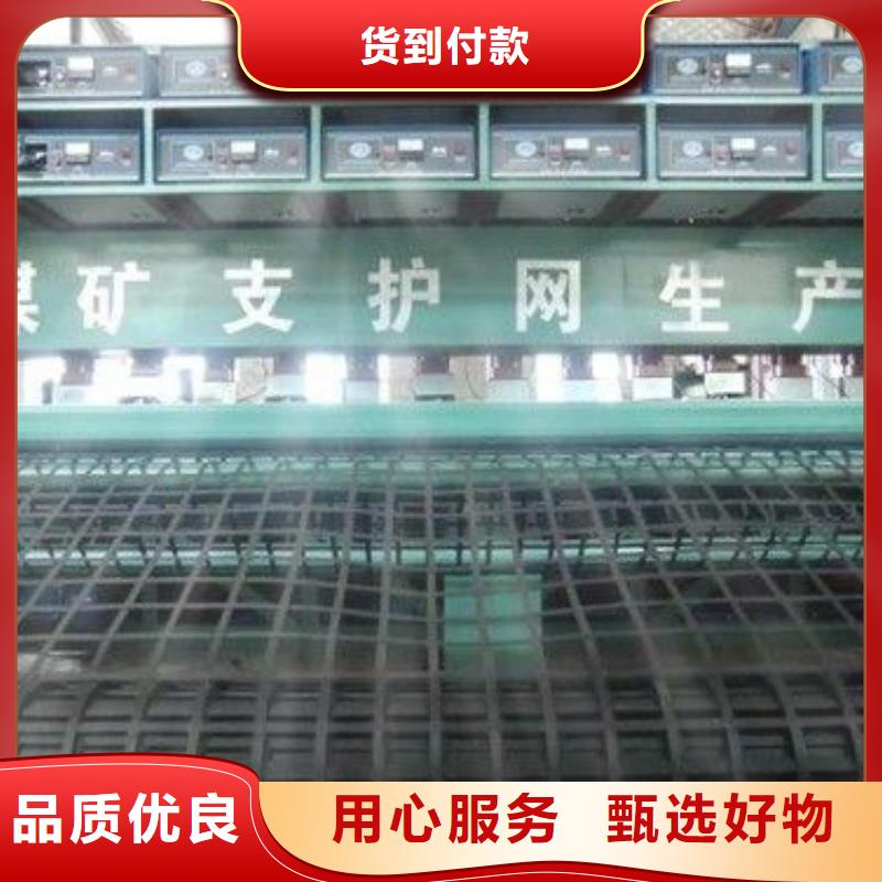 礦用鋼塑復合假頂網PP焊接土工格柵實拍品質保障