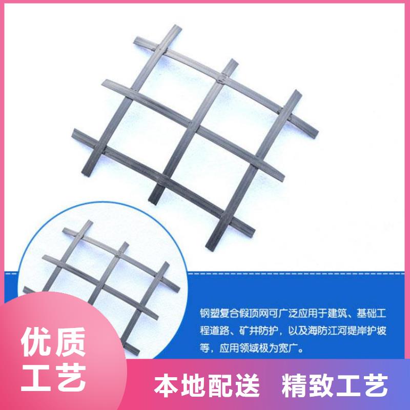 礦用鋼塑復合假頂網PP焊接土工格柵N年大品牌