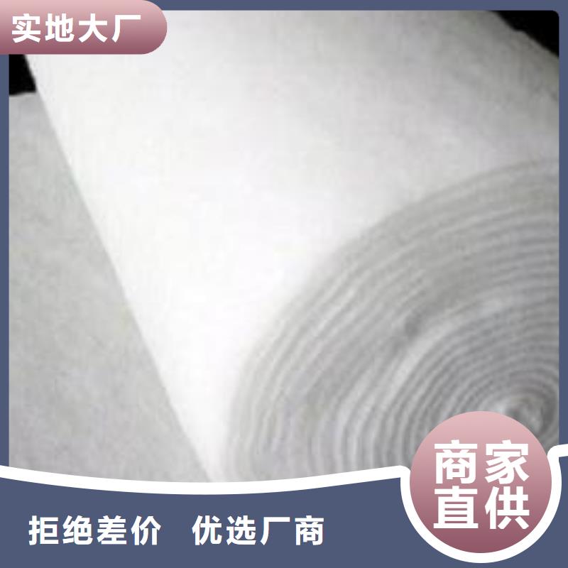 土工布滌綸土工格柵支持非標定制