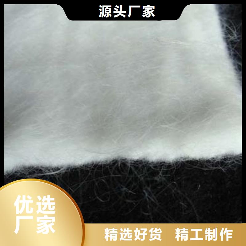 土工布滌綸土工格柵支持非標定制