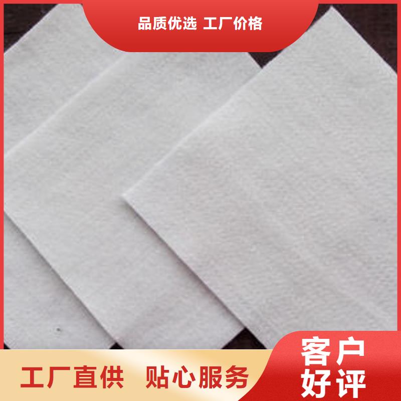 土工布滌綸土工格柵正規廠家
