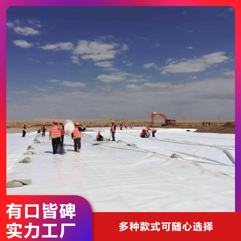 土工布滌綸土工格柵支持非標定制