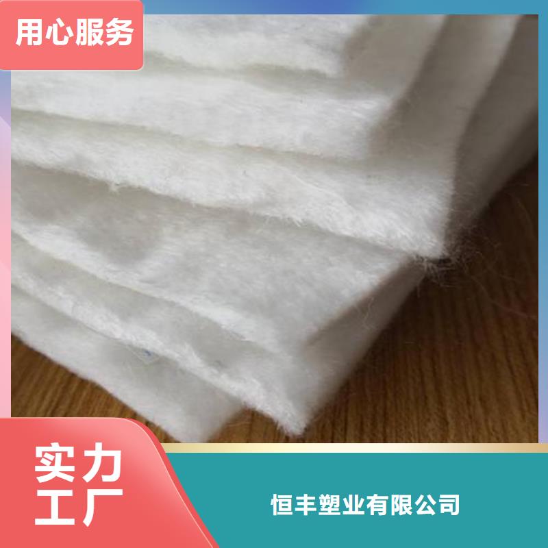 土工布防尘布精挑细选好货