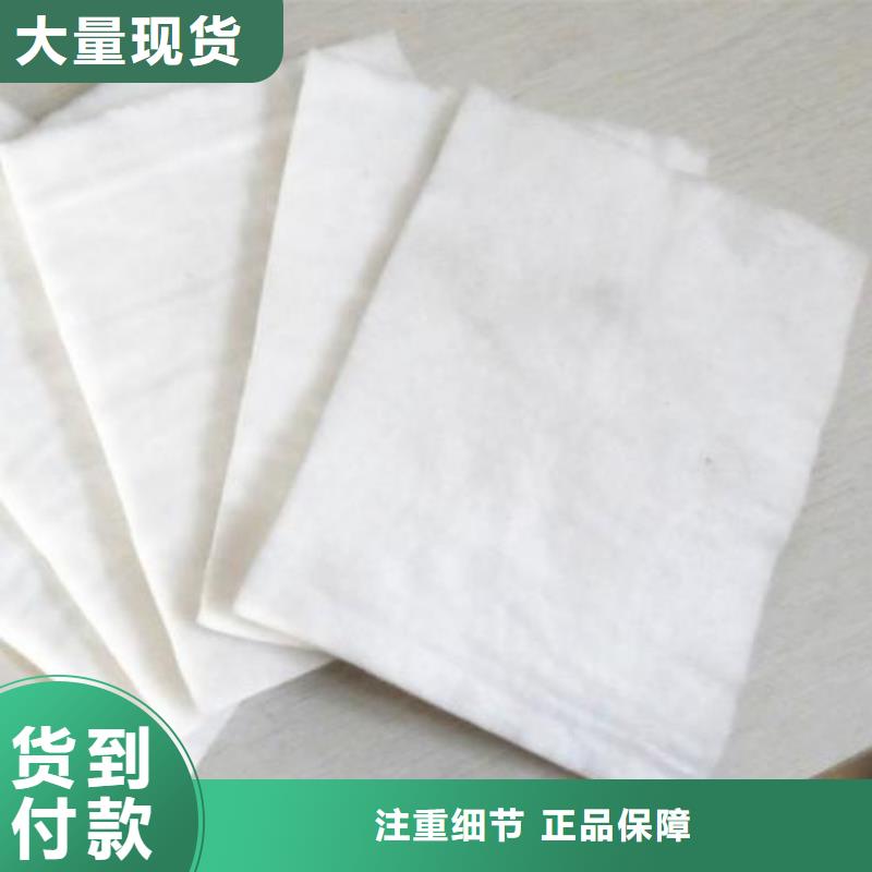 土工布滌綸土工格柵支持非標定制