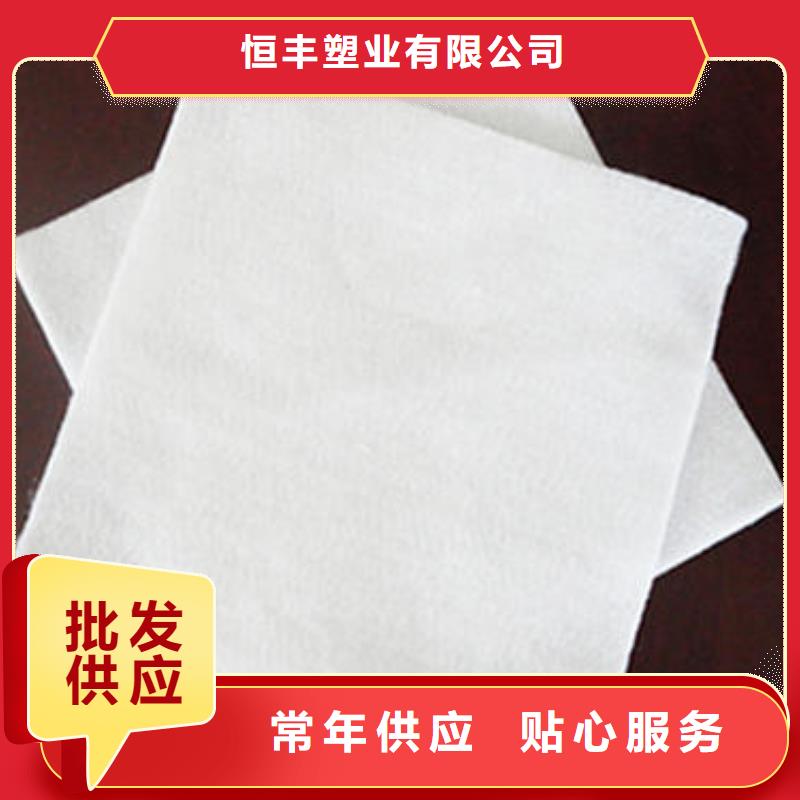 土工布凸結(jié)點鋼塑土工格柵專業(yè)生產(chǎn)制造廠