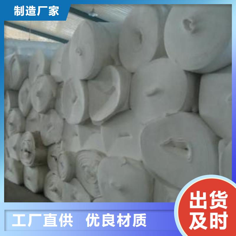 土工布凸結(jié)點鋼塑土工格柵專業(yè)生產(chǎn)制造廠