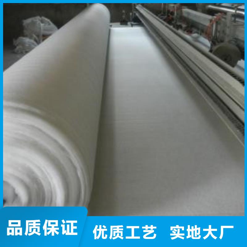 土工布HDPE黑色土工膜批發價格