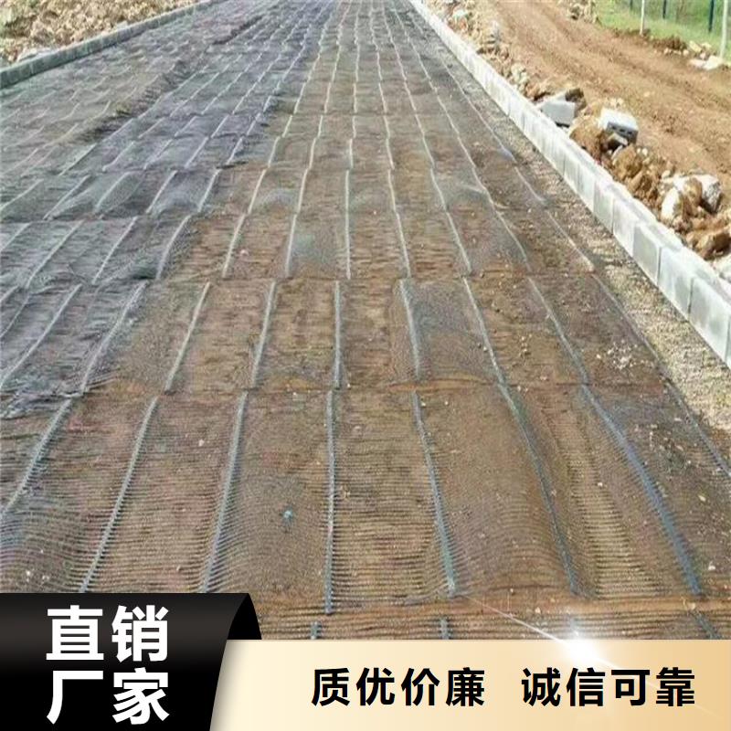 【单向塑料土工格栅】土工席垫对质量负责