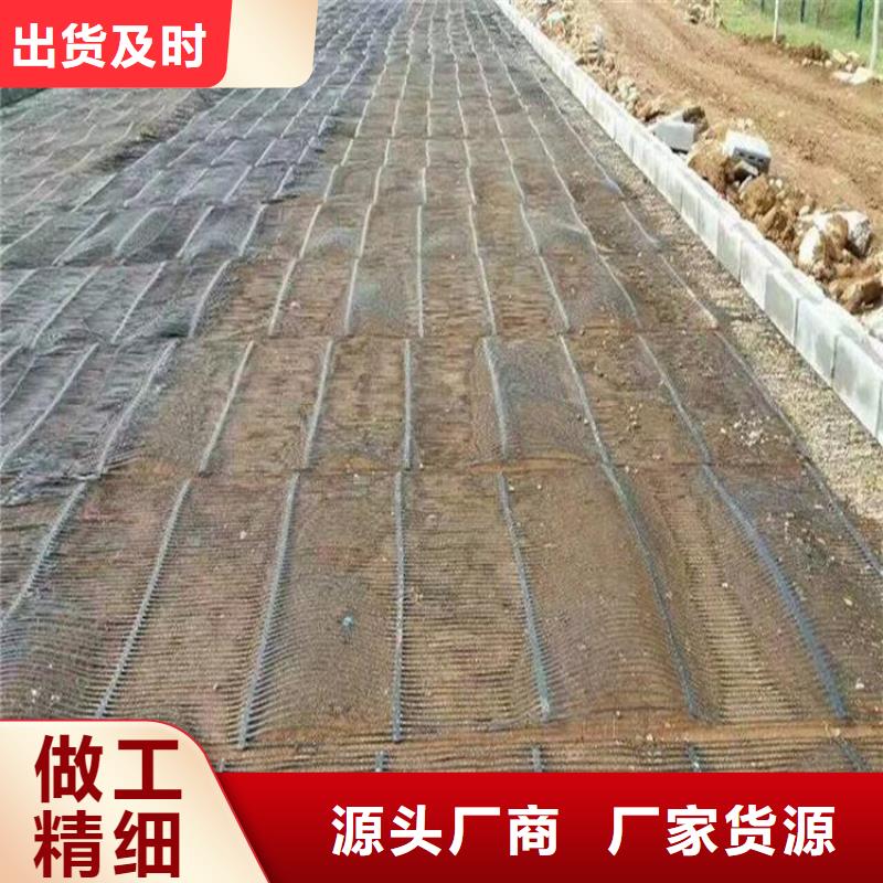 單向塑料土工格柵HDPE土工膜質檢嚴格放心品質