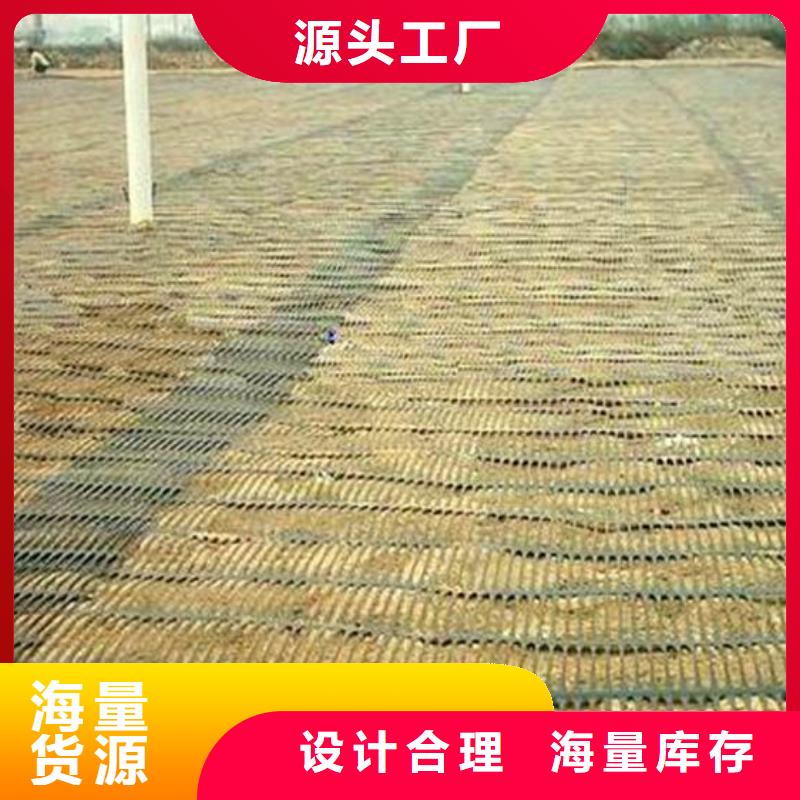 單向塑料土工格柵HDPE土工膜質檢嚴格放心品質