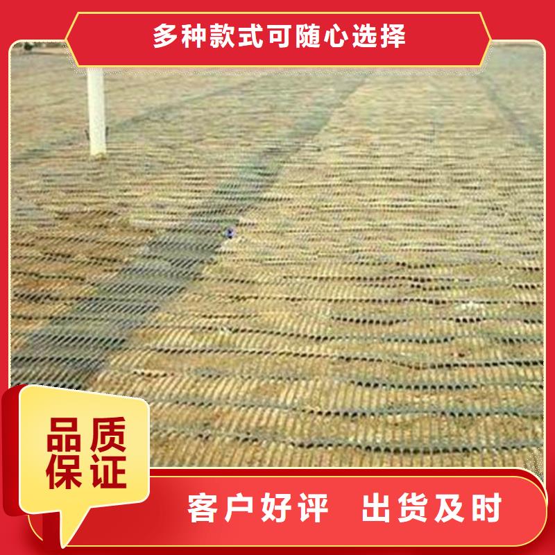 單向塑料土工格柵HDPE土工膜批發(fā)供應(yīng)