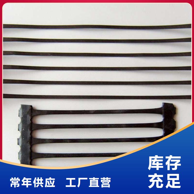 單向塑料土工格柵HDPE土工膜敢與同行比價(jià)格