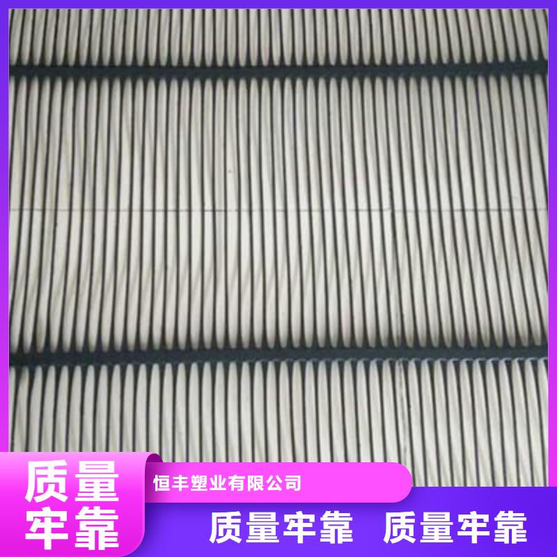 單向塑料土工格柵HDPE土工膜質檢嚴格放心品質