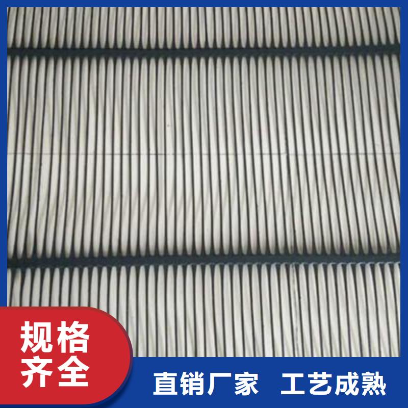 单向塑料土工格栅HDPE土工膜敢与同行比价格
