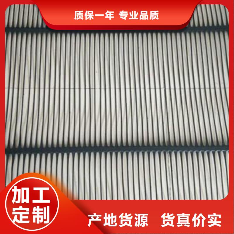 單向塑料土工格柵HDPE土工膜質檢嚴格放心品質