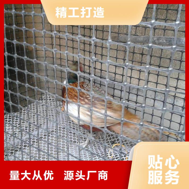 雙向塑料土工格柵土工格室您想要的我們都有