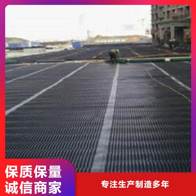 雙向塑料土工格柵土工格室您想要的我們都有