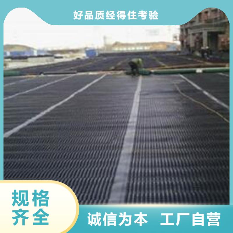 雙向塑料土工格柵土工格室您想要的我們都有