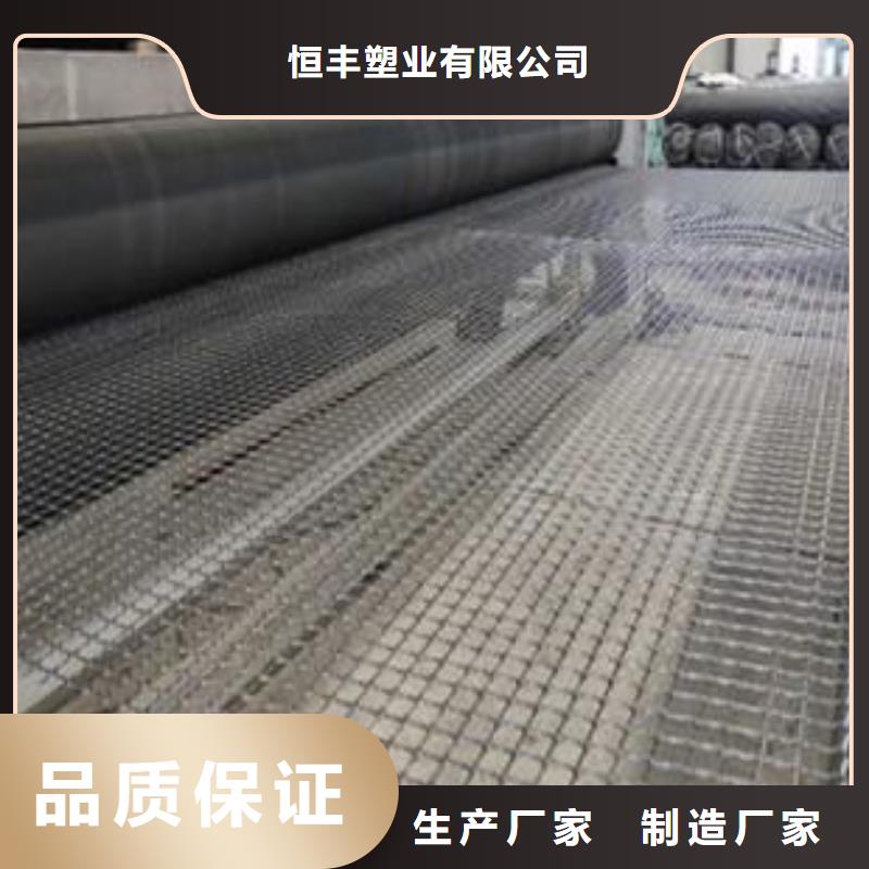 雙向塑料土工格柵聚乙烯土工膜研發生產銷售