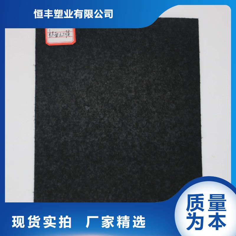 土工膜滌綸土工格柵工廠批發