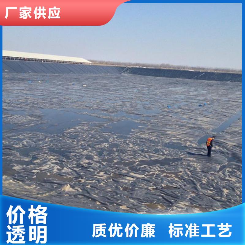 土工膜-蜂巢格室24小時下單發貨