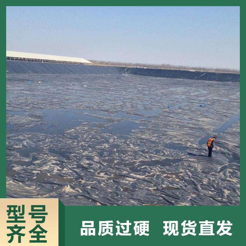 土工膜,PP焊接土工格柵產地采購