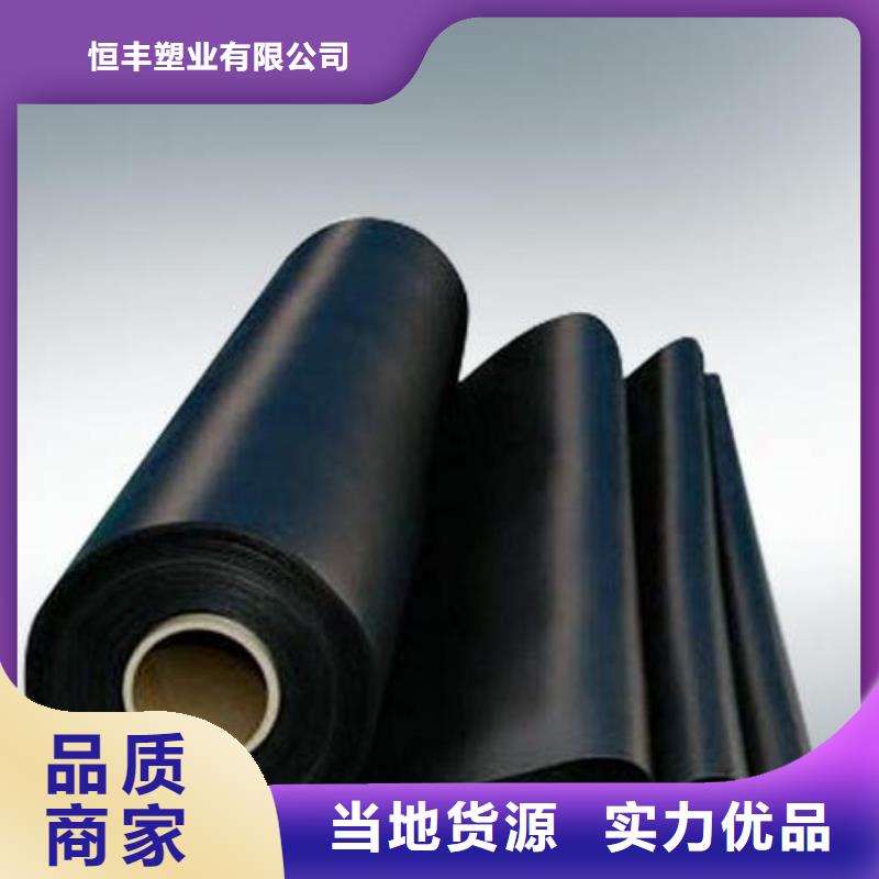 土工膜滌綸土工格柵工廠批發