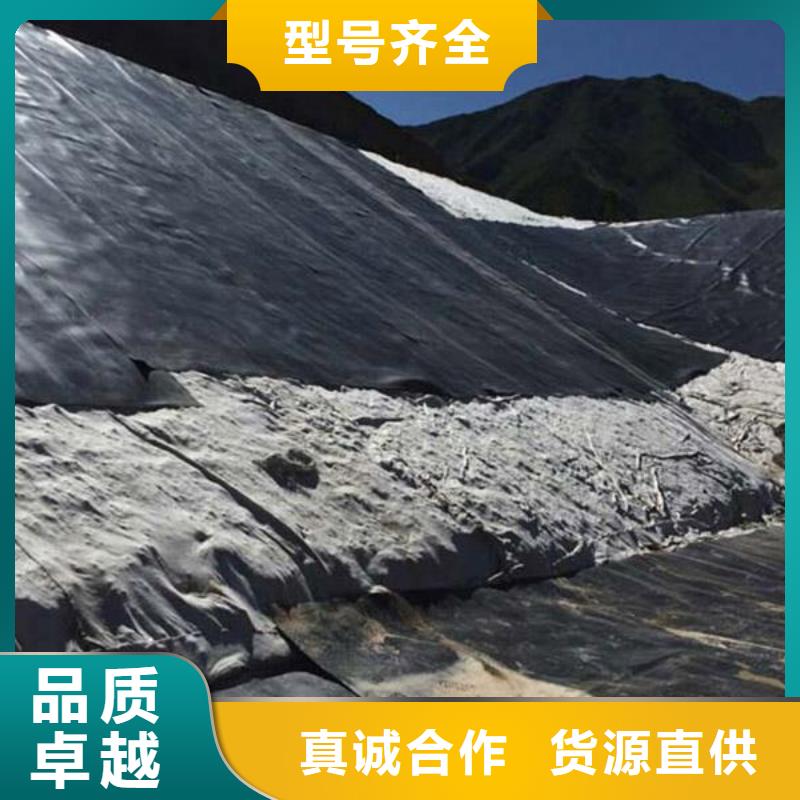 土工膜滌綸土工格柵工廠批發