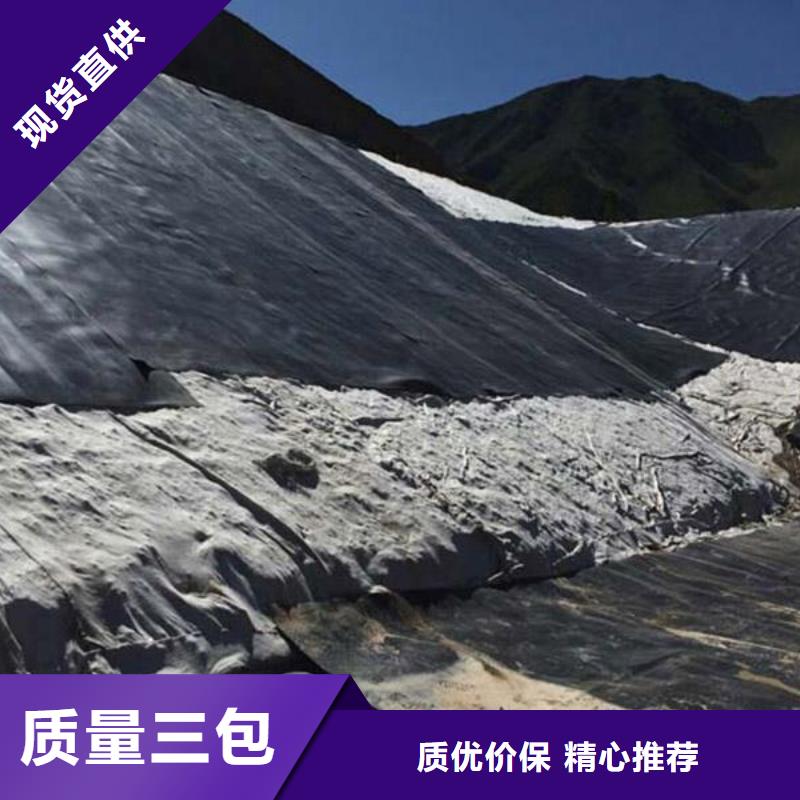 土工膜滌綸土工格柵工廠批發