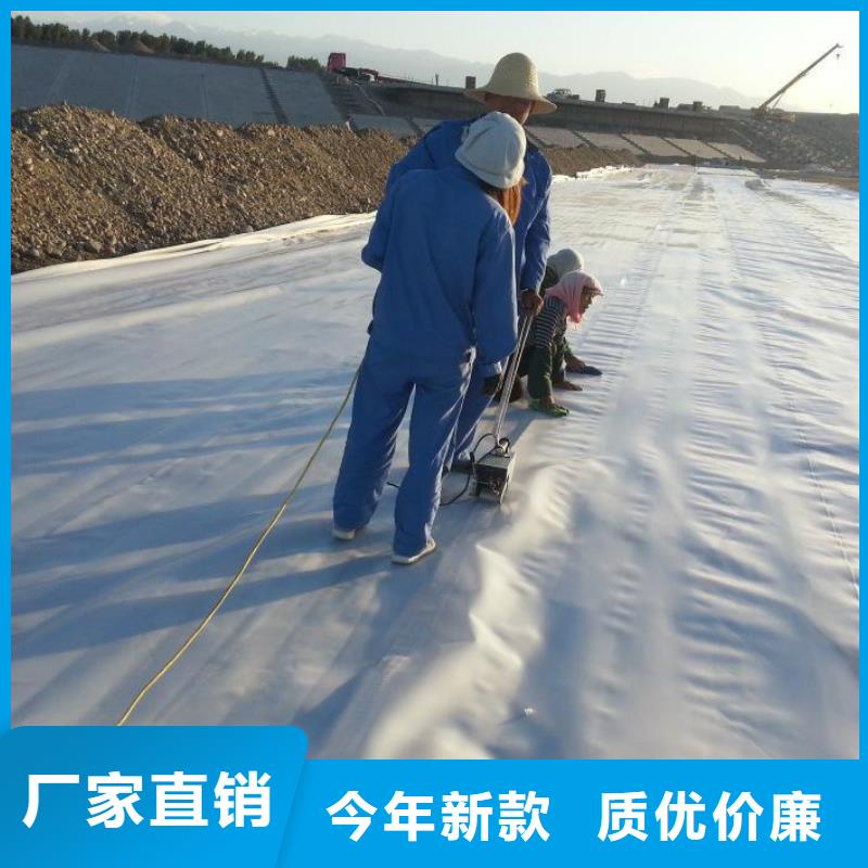 土工膜_长丝土工布可零售可批发