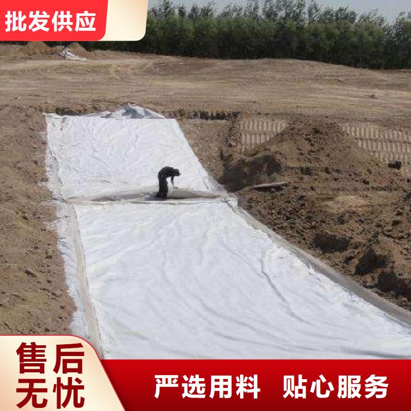 復(fù)合土工膜防滲膜廠家案例