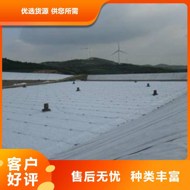 復合土工膜-塑料土工濾網一致好評產品