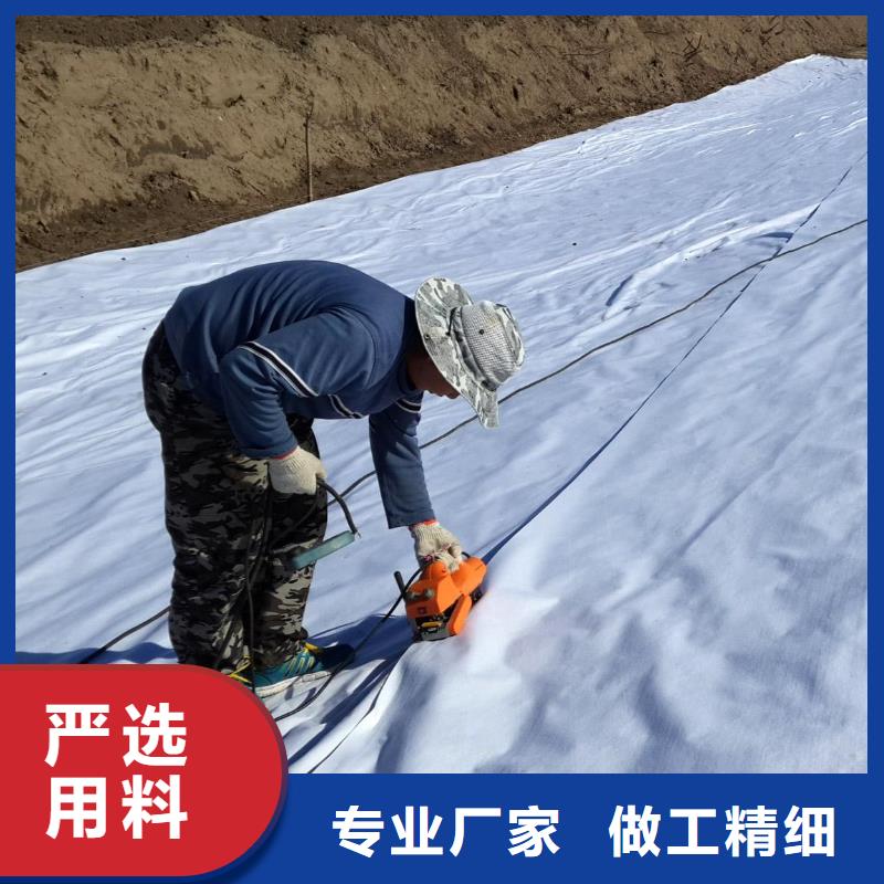 復(fù)合土工膜護(hù)坡土工網(wǎng)按需定制真材實(shí)料