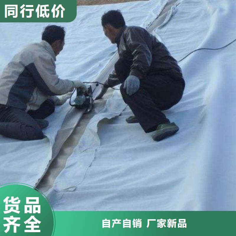 復(fù)合土工膜_三維復(fù)合排水網(wǎng)供應(yīng)商