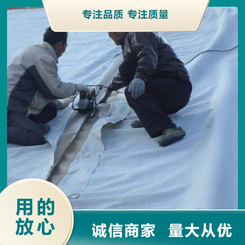 復(fù)合土工膜護(hù)坡土工網(wǎng)按需定制真材實(shí)料
