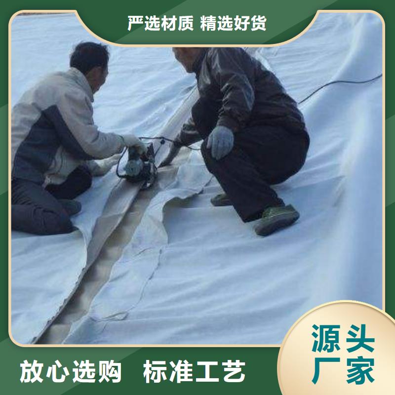 【復(fù)合土工膜】土工濾網(wǎng)多年行業(yè)積累