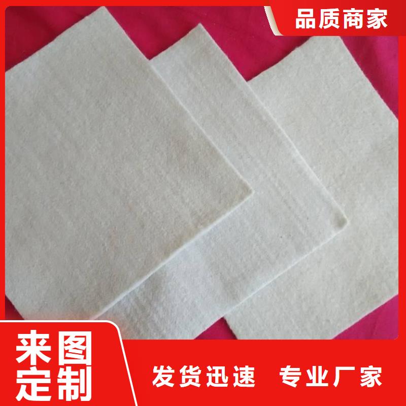 【復合土工膜短絲土工布專業生產設備】