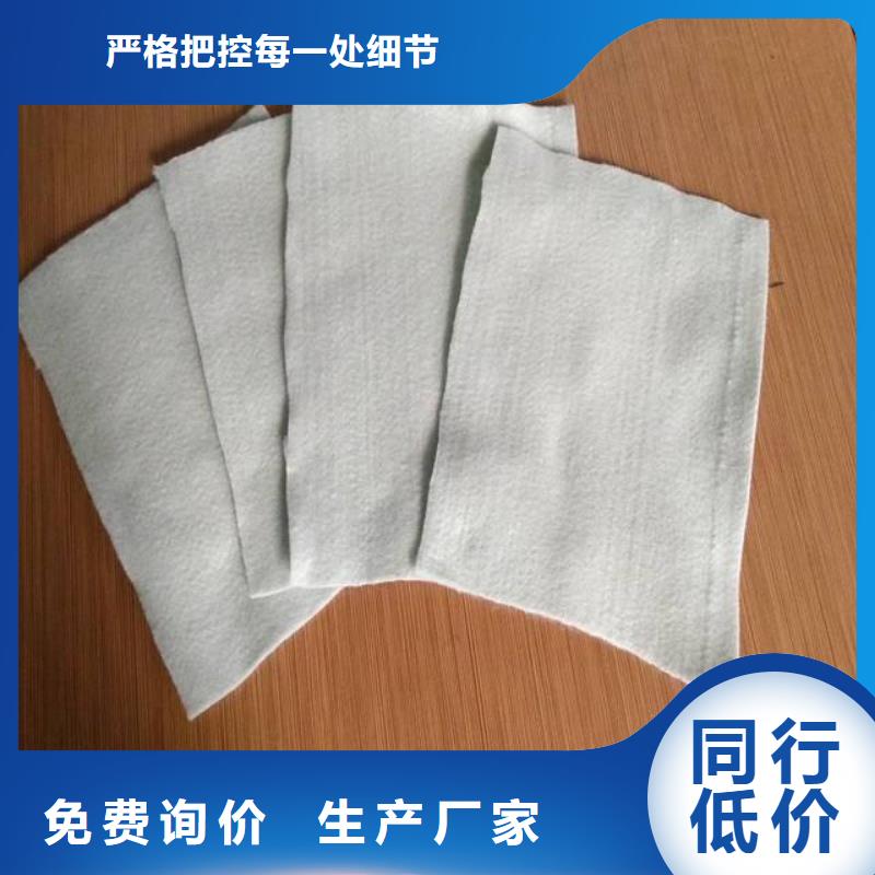 復(fù)合土工膜防滲膜廠家案例