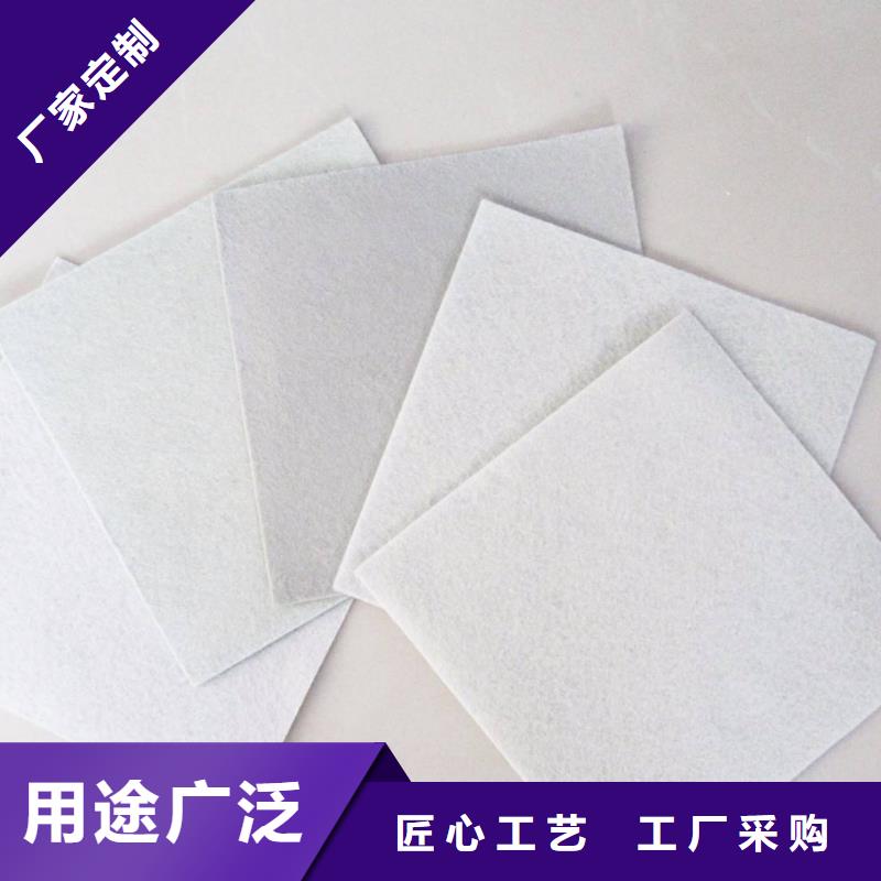 復(fù)合土工膜防滲膜廠家案例