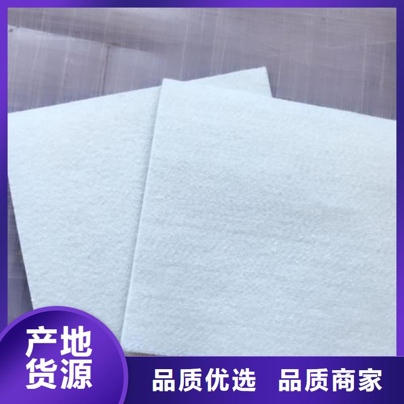 【復合土工膜短絲土工布專業生產設備】