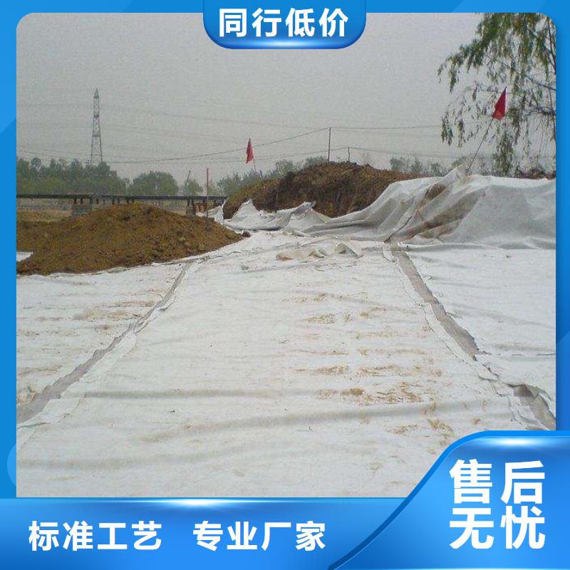 復(fù)合土工膜_三維復(fù)合排水網(wǎng)供應(yīng)商