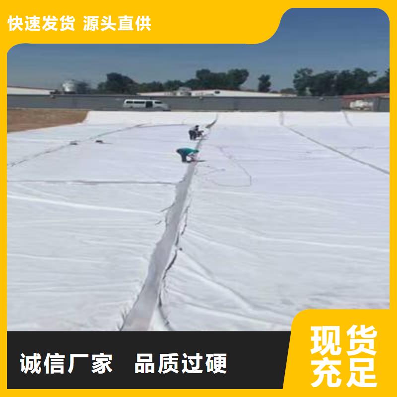 【復(fù)合土工膜短絲土工布專業(yè)生產(chǎn)設(shè)備】