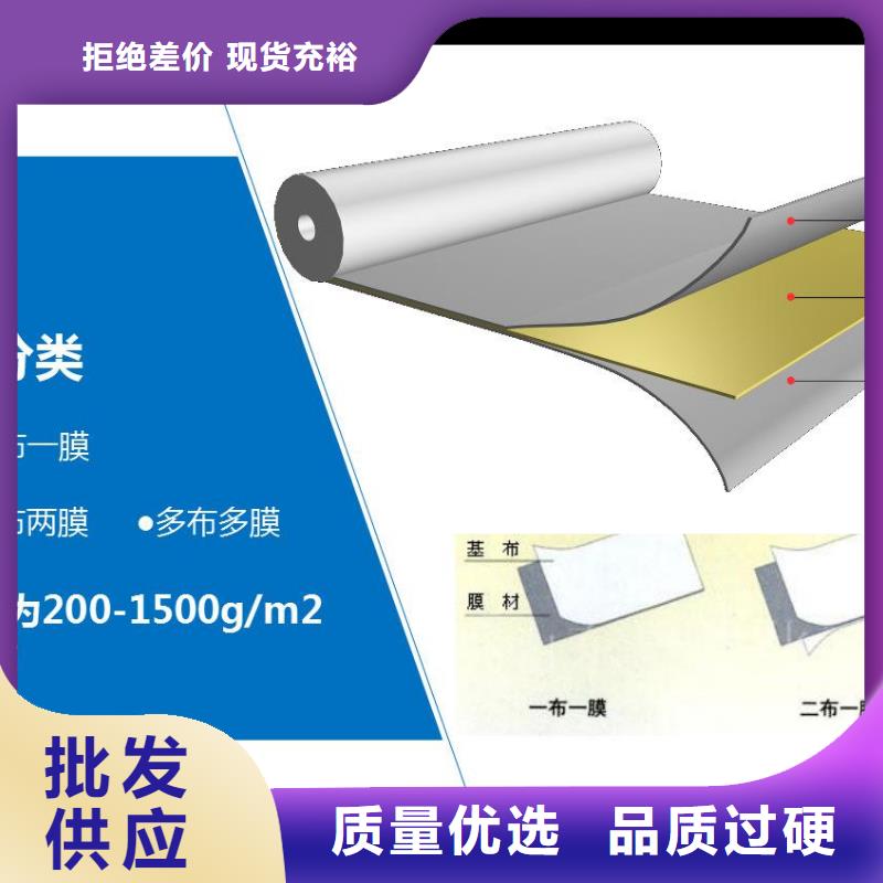 復(fù)合土工膜護(hù)坡土工網(wǎng)按需定制真材實(shí)料