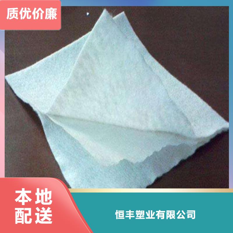 復合土工膜雙向拉伸塑料格柵品質值得信賴