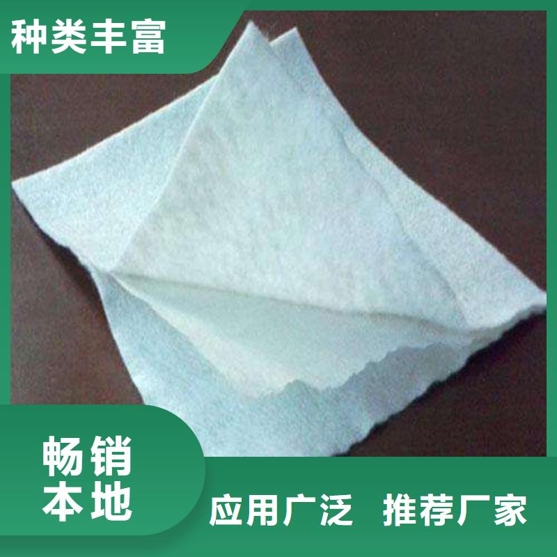 復合土工膜雙向拉伸塑料格柵品質值得信賴