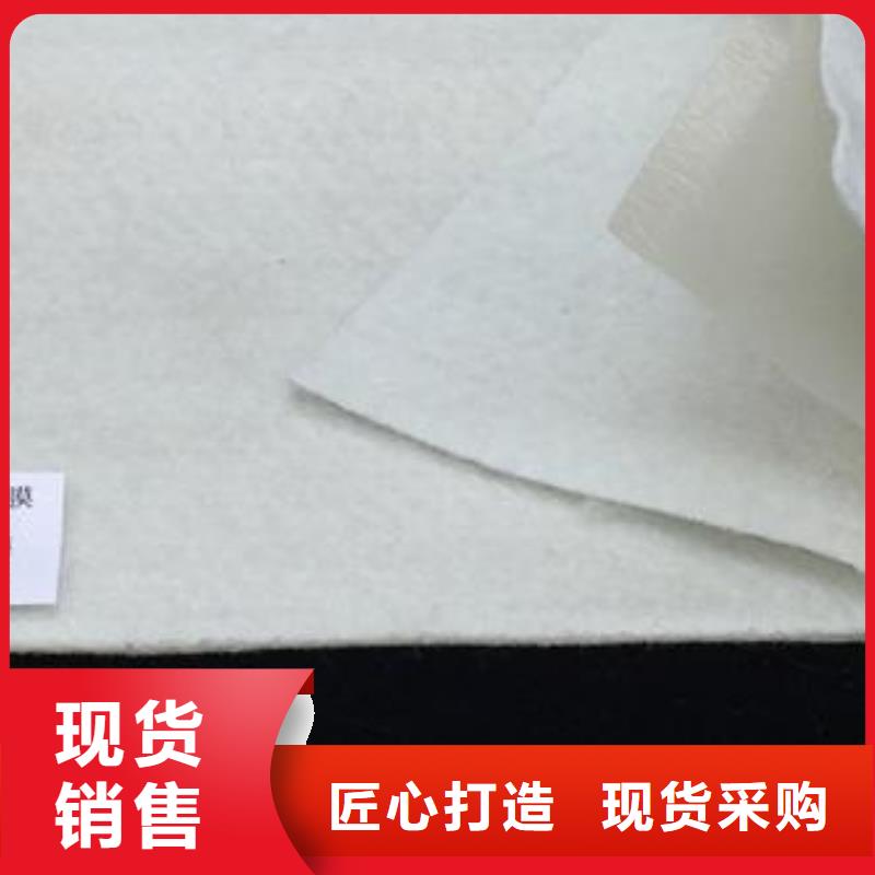 【复合土工膜加筋布匠心品质】