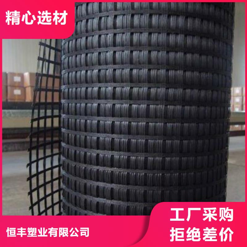 滌綸土工格柵HDPE土工膜您身邊的廠家