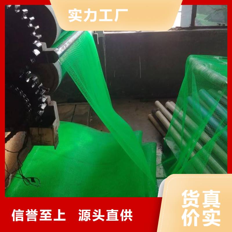 三維植被網土工格室專注細節使用放心