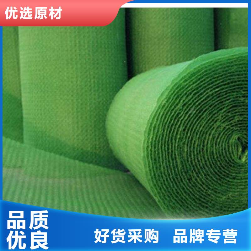 三維植被網PVC防水卷材源頭廠家
