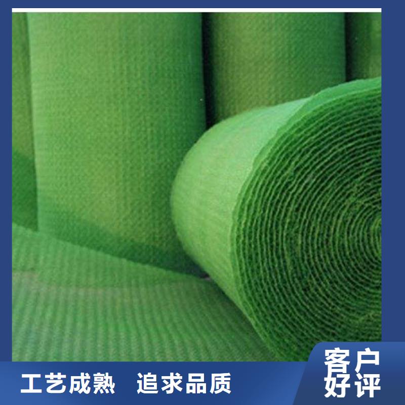 三維植被網PP焊接土工格柵值得信賴